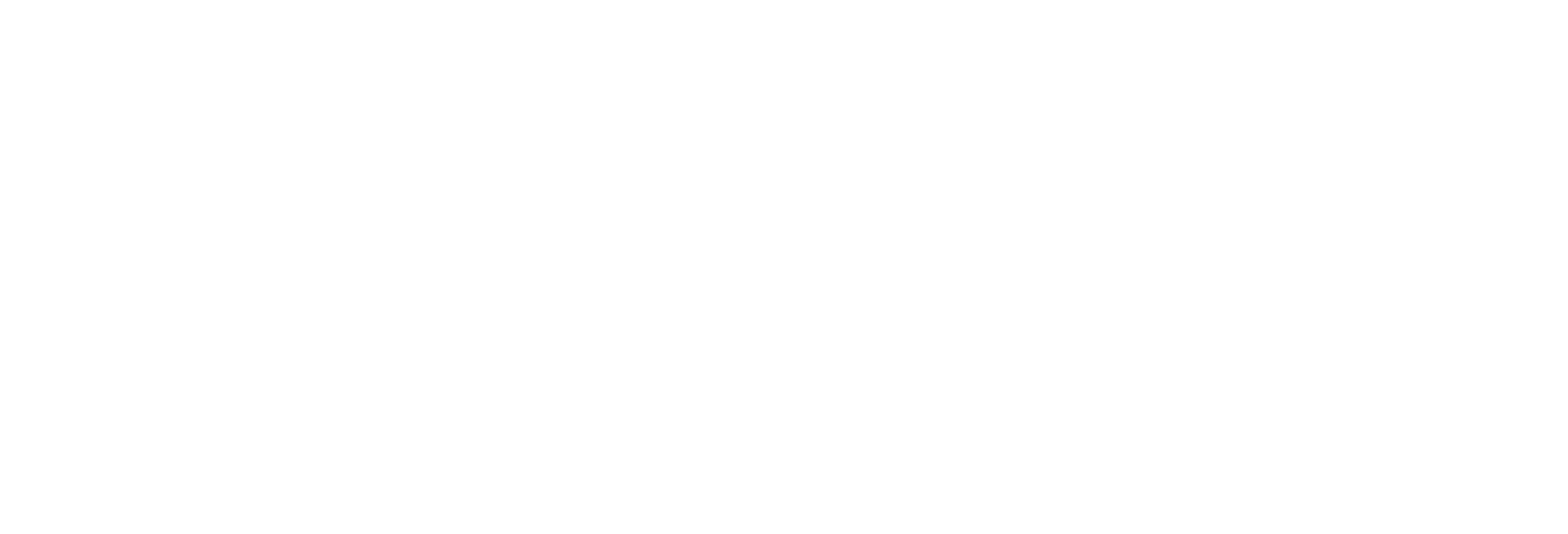 white_logo_01