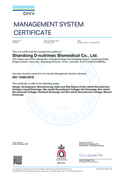 3-ISO 13485