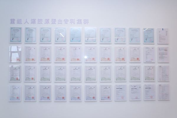 Factory Display22