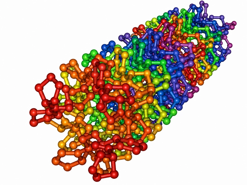 UNDERSTANDING COLLAGEN